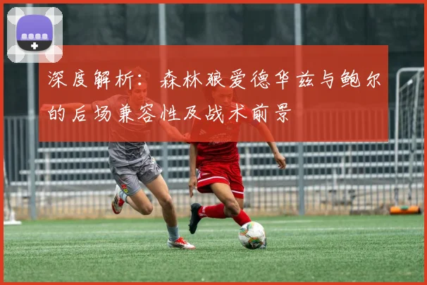深度解析：森林狼爱德华兹与鲍尔的后场兼容性及战术前景