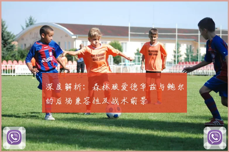 深度解析:森林狼爱德华兹与鲍尔的后场兼容性及战术前景